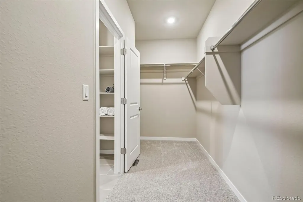 13806 Honey Hush Trail Parker CO 80134