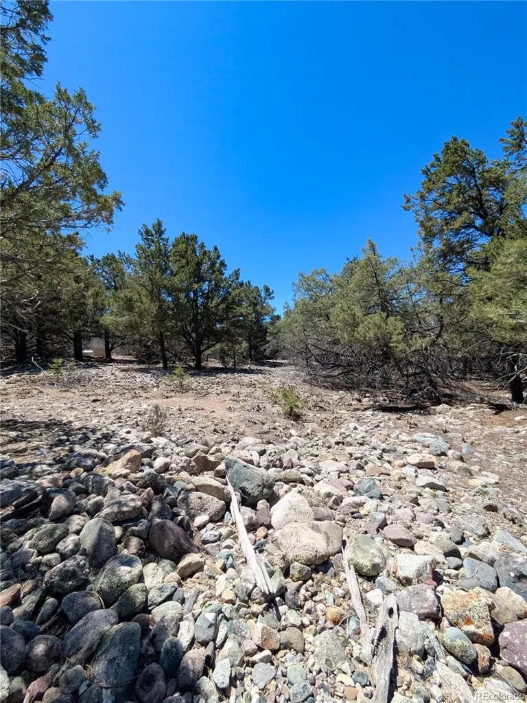 1681 Camino Real Crestone CO 81131
