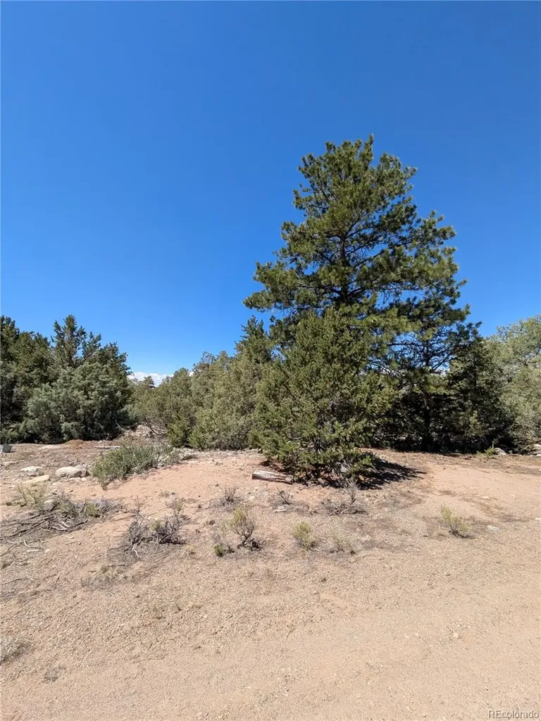 1681 Camino Real Crestone CO 81131