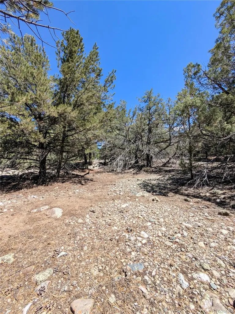 1681 Camino Real Crestone CO 81131