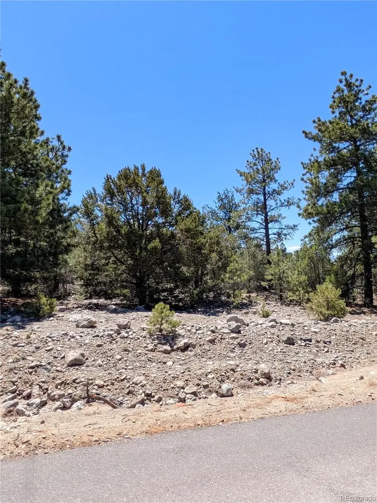1681 Camino Real Crestone CO 81131