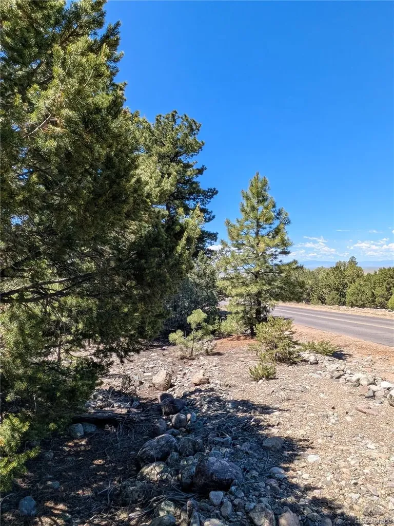 1681 Camino Real Crestone CO 81131