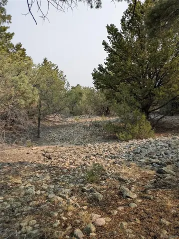 1681 Camino Real Crestone CO 81131
