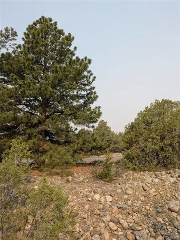 1681 Camino Real Crestone CO 81131