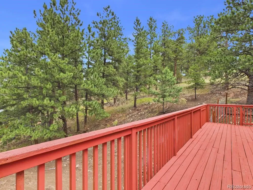 784 Mockingbird Trail Bailey CO 80421
