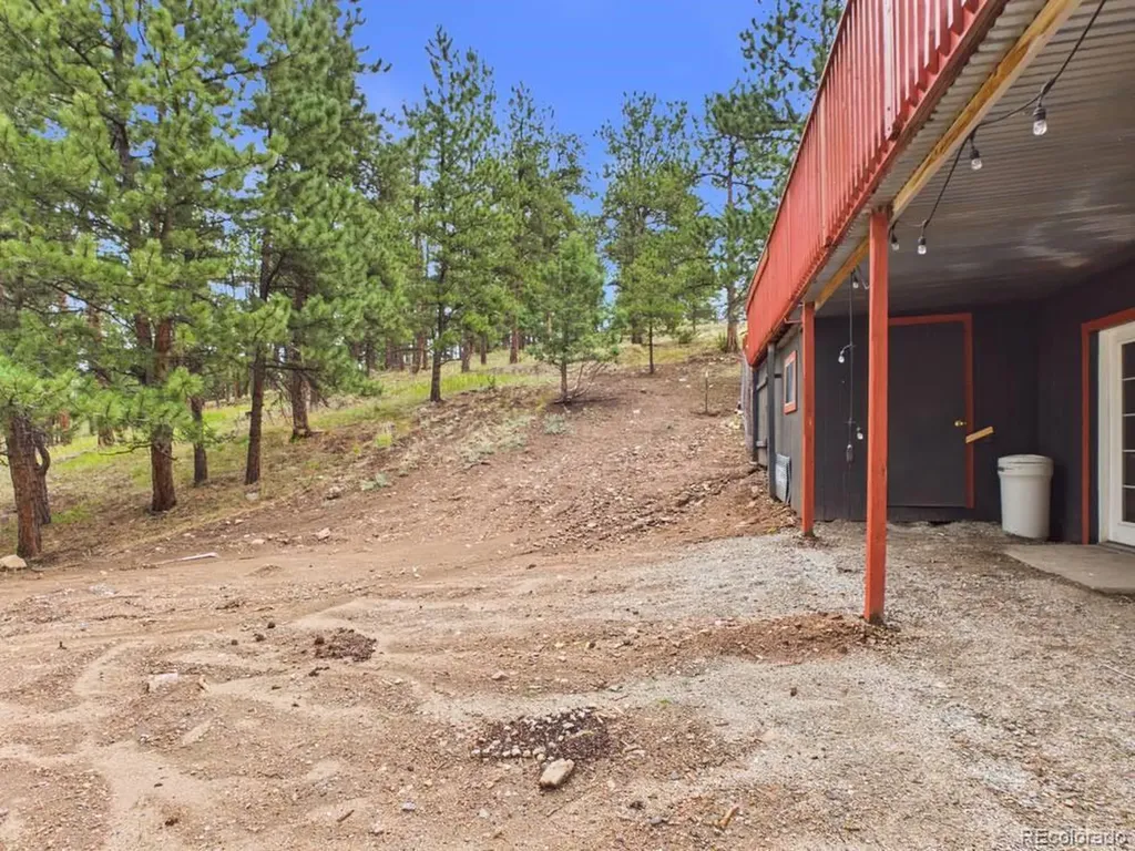 784 Mockingbird Trail Bailey CO 80421