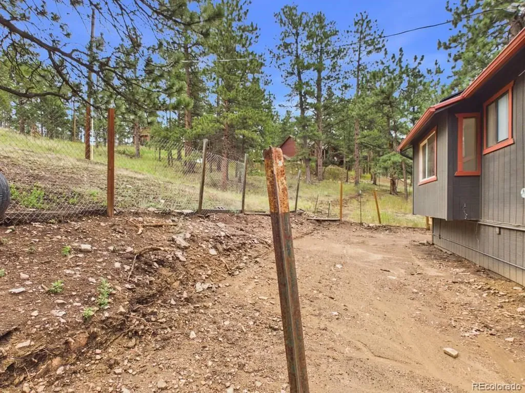 784 Mockingbird Trail Bailey CO 80421