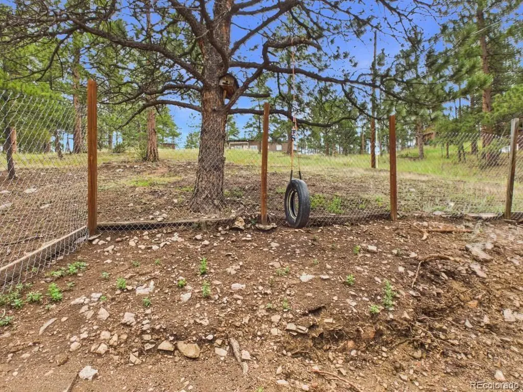784 Mockingbird Trail Bailey CO 80421