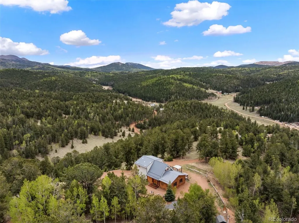 1052 Crown Point Circle Cripple Creek CO 80813