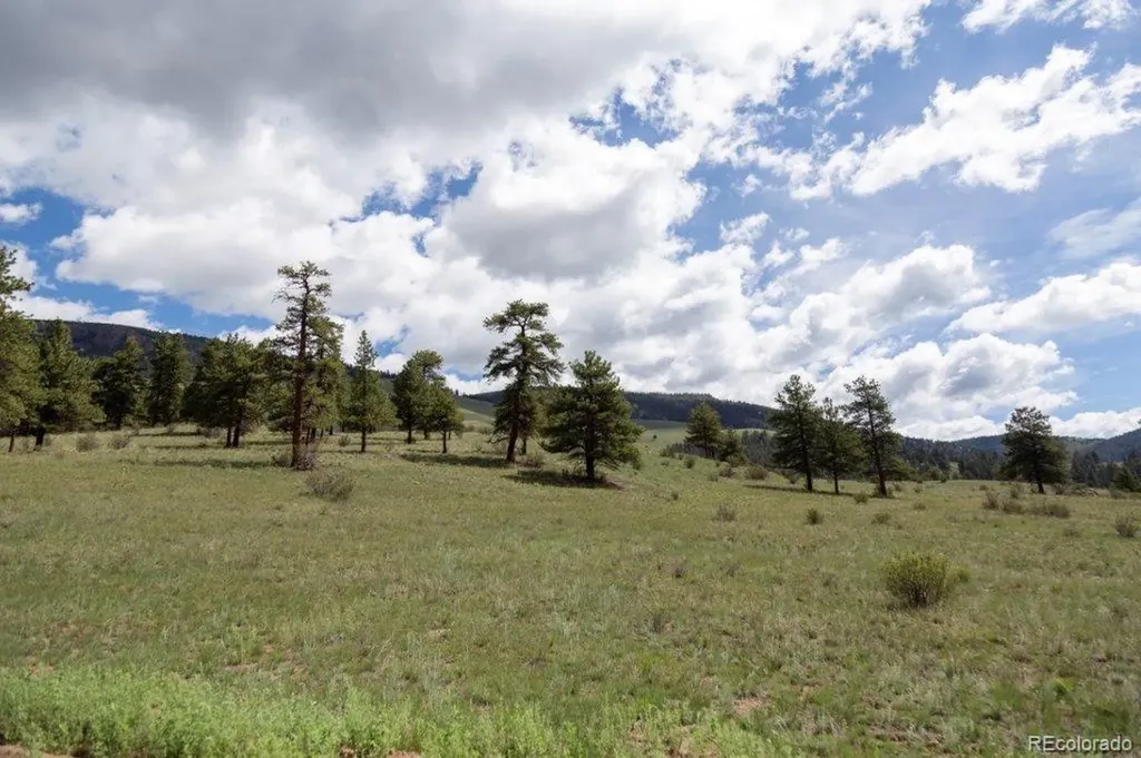 730 Cliff View Drive Creede CO 81130