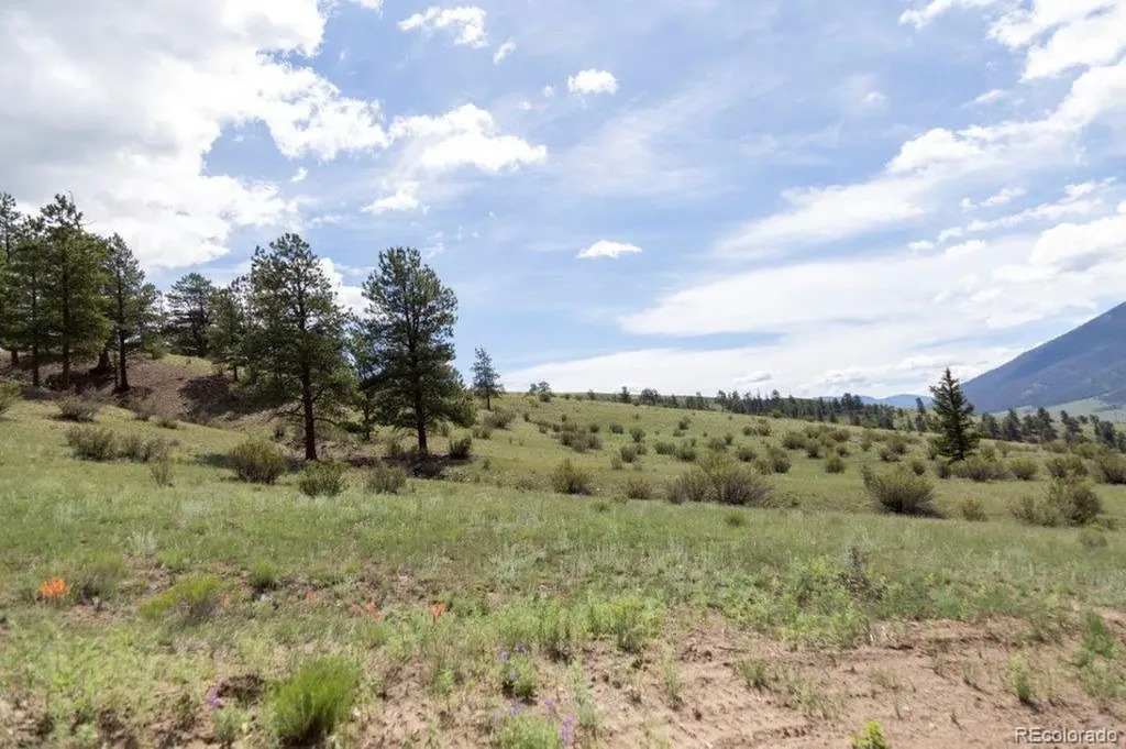 730 Cliff View Drive Creede CO 81130