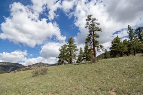 730 Cliff View Drive Creede CO 81130