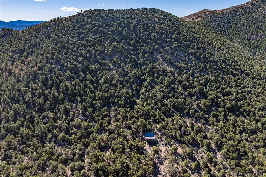 2126 E Path Cotopaxi CO 81223