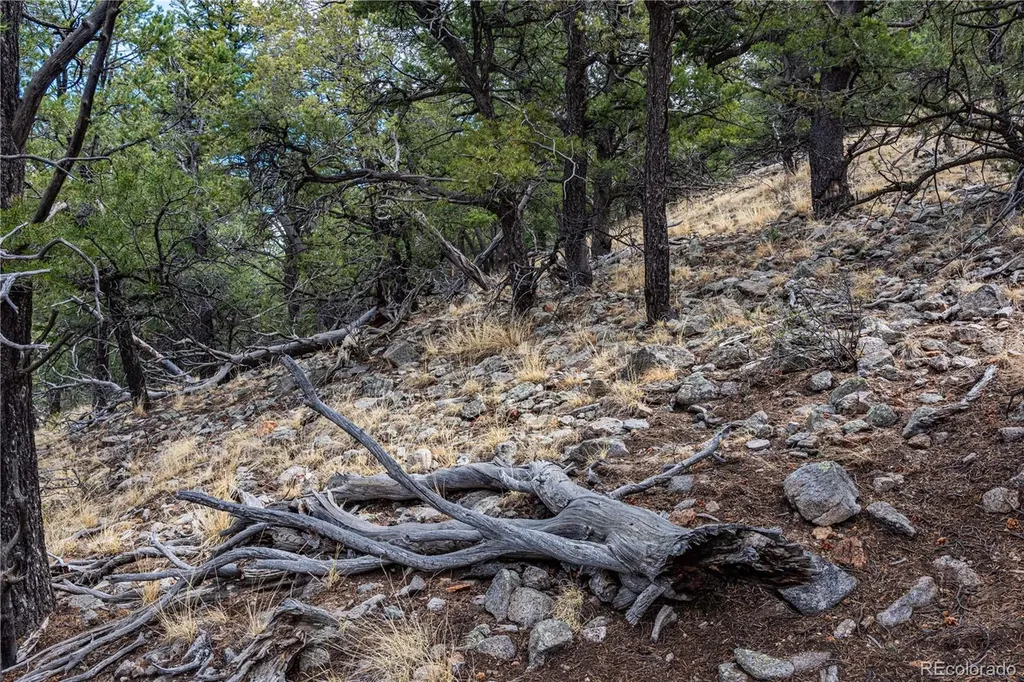 2126 E Path Cotopaxi CO 81223
