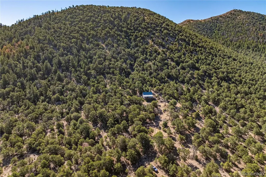 2126 E Path Cotopaxi CO 81223