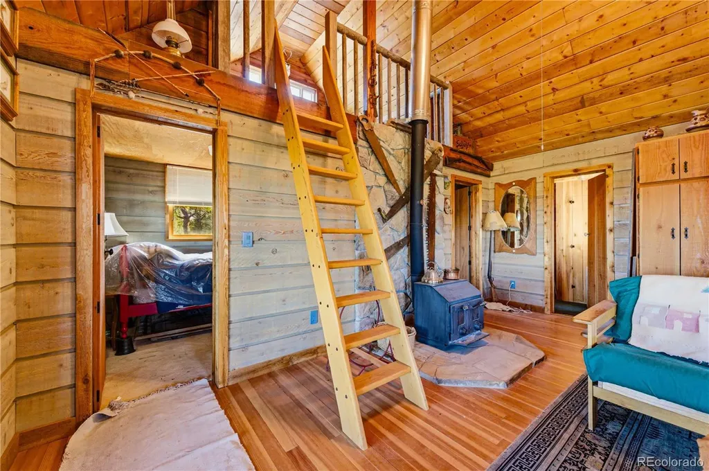 2126 E Path Cotopaxi CO 81223