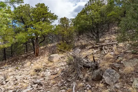 2126 E Path Cotopaxi CO 81223