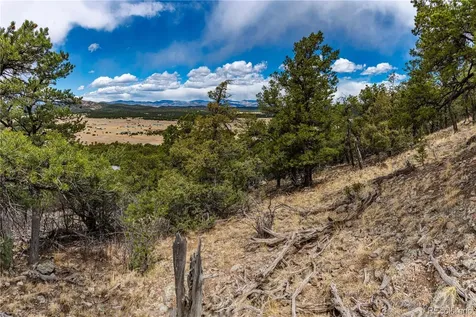 2126 E Path Cotopaxi CO 81223