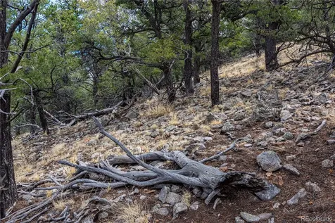 2126 E Path Cotopaxi CO 81223