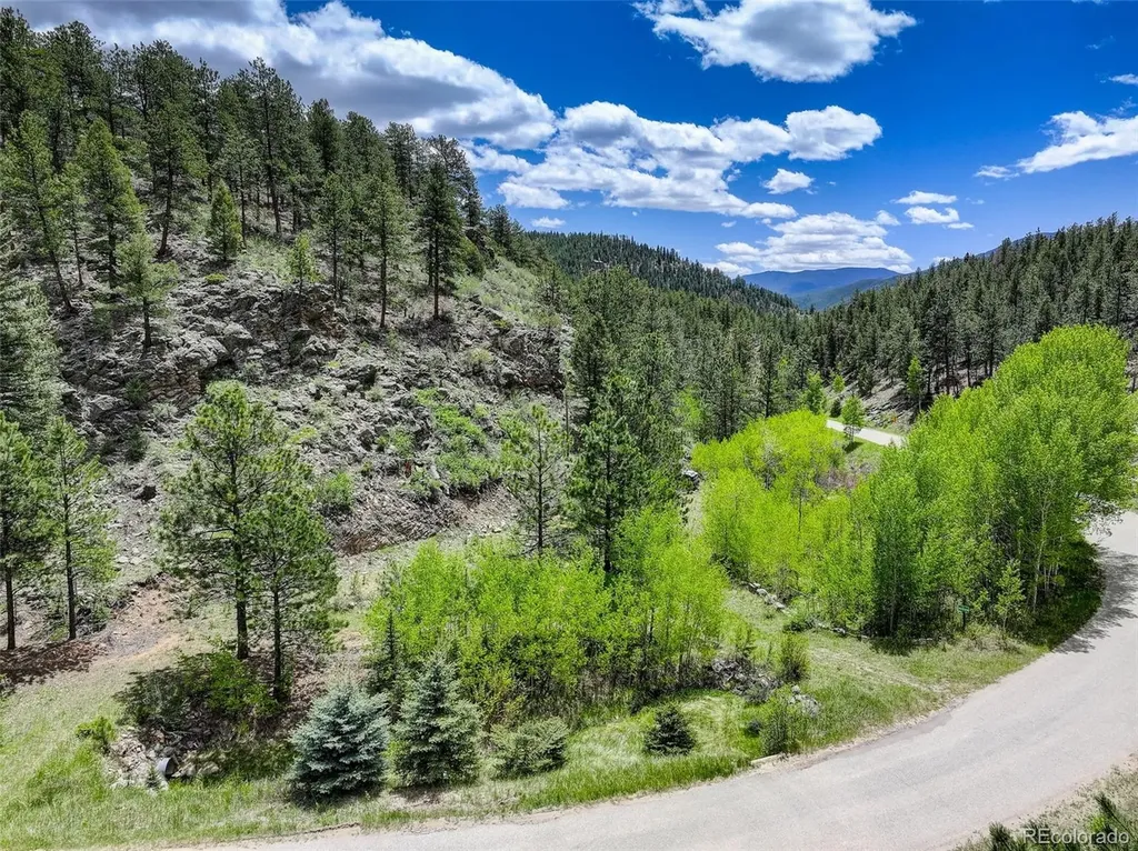 400 Crow Valley Road Bailey CO 80421