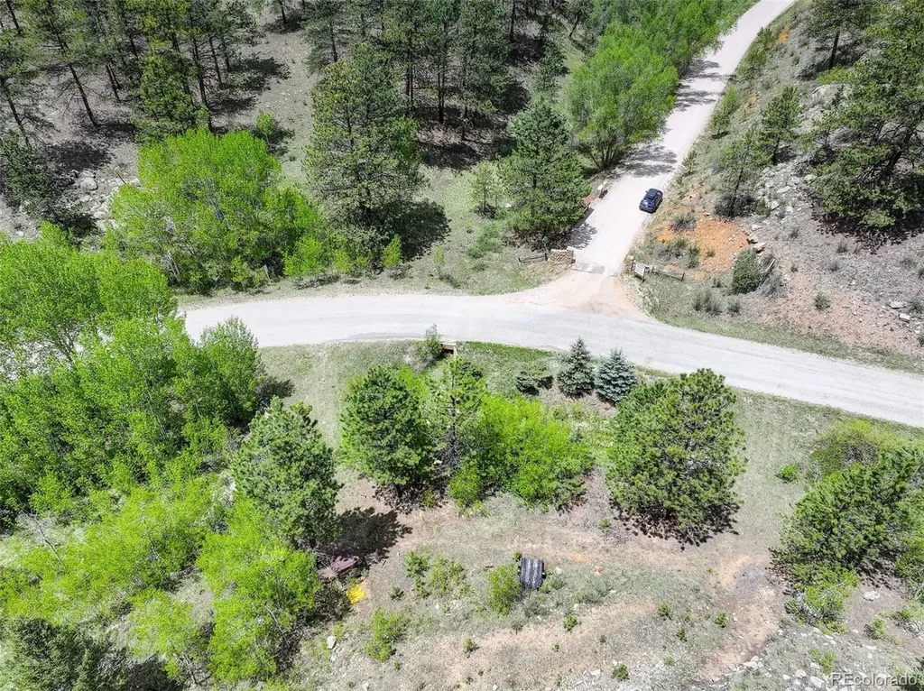 400 Crow Valley Road Bailey CO 80421