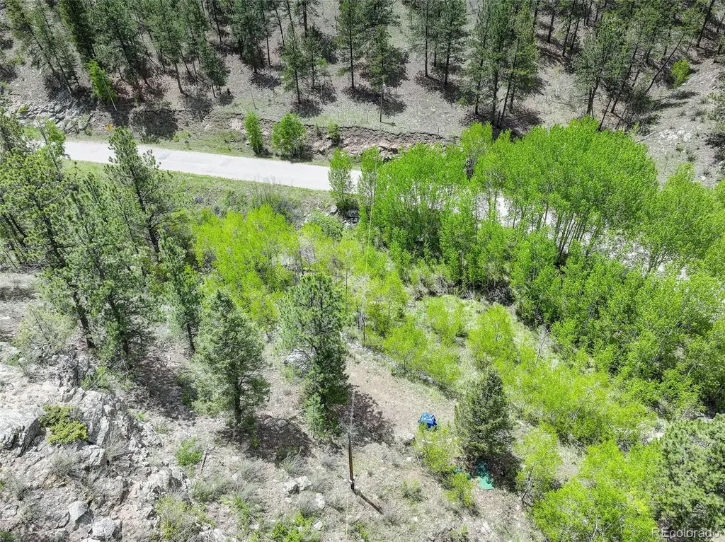 400 Crow Valley Road Bailey CO 80421