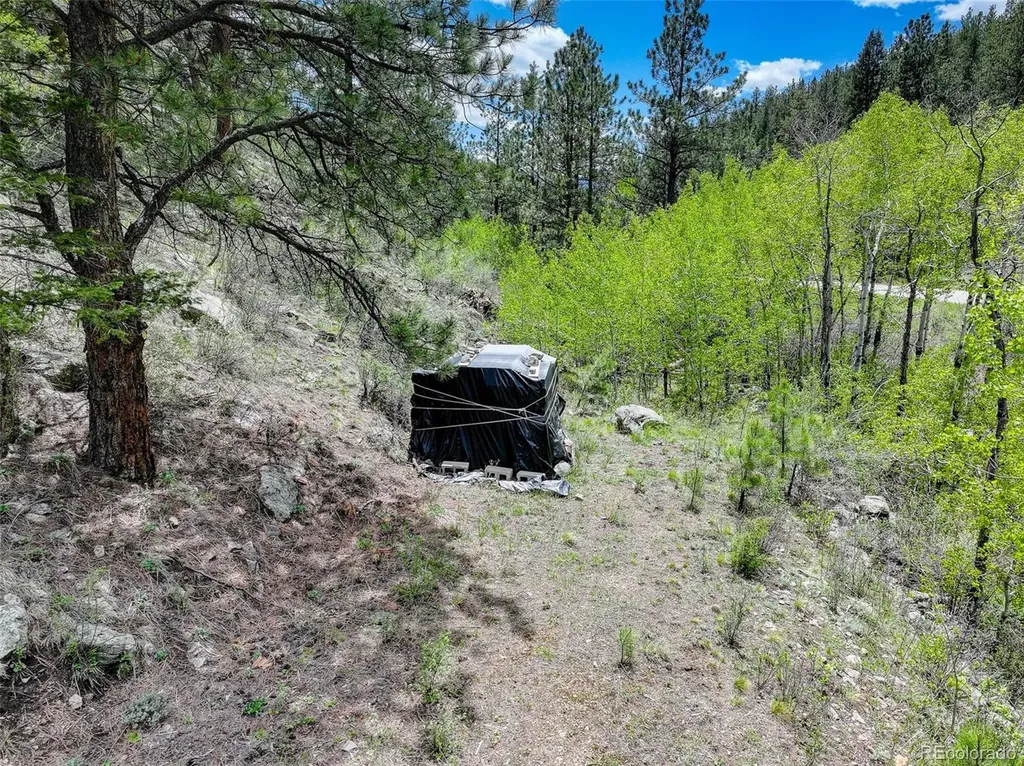 400 Crow Valley Road Bailey CO 80421