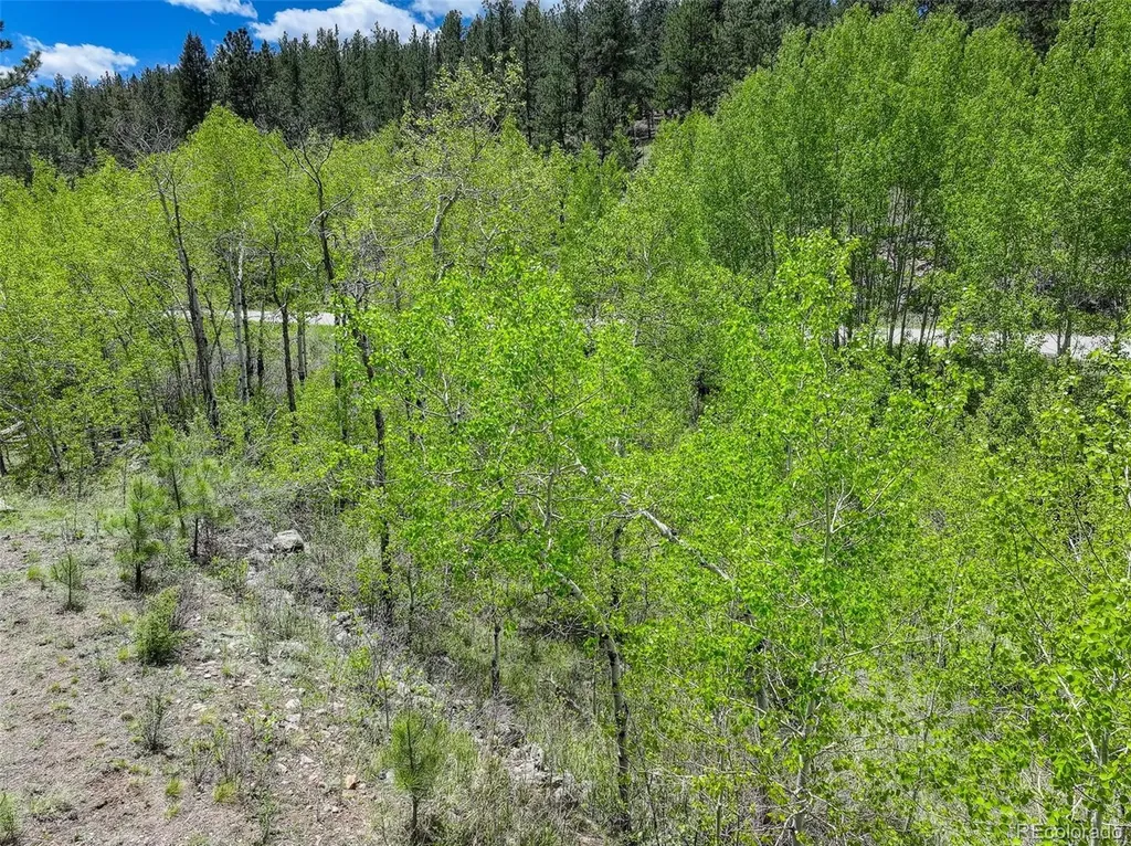 400 Crow Valley Road Bailey CO 80421