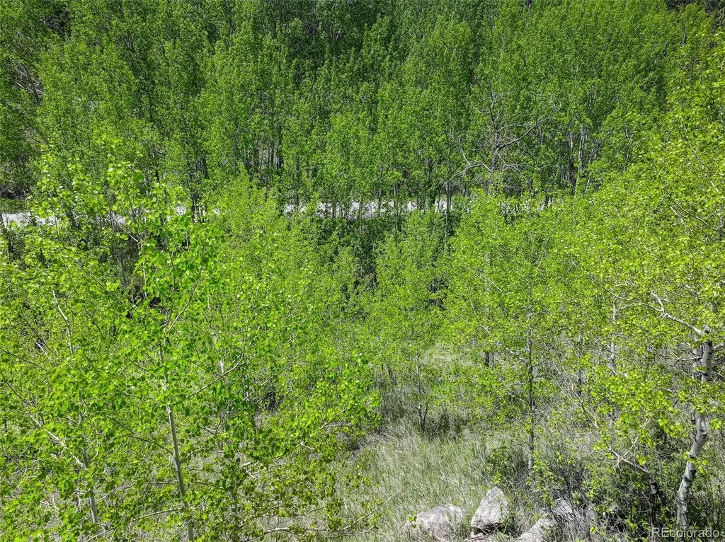 400 Crow Valley Road Bailey CO 80421