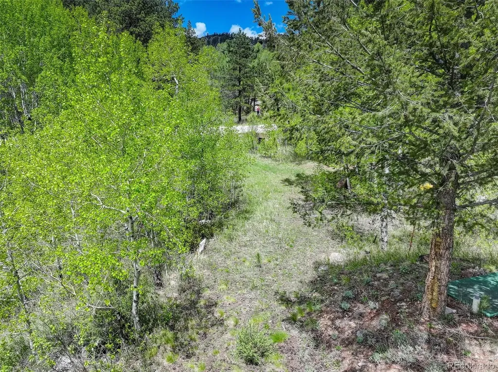 400 Crow Valley Road Bailey CO 80421