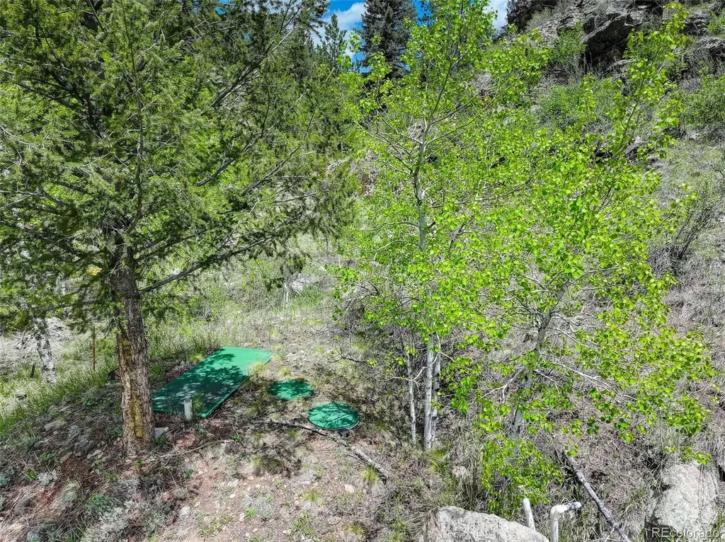 400 Crow Valley Road Bailey CO 80421