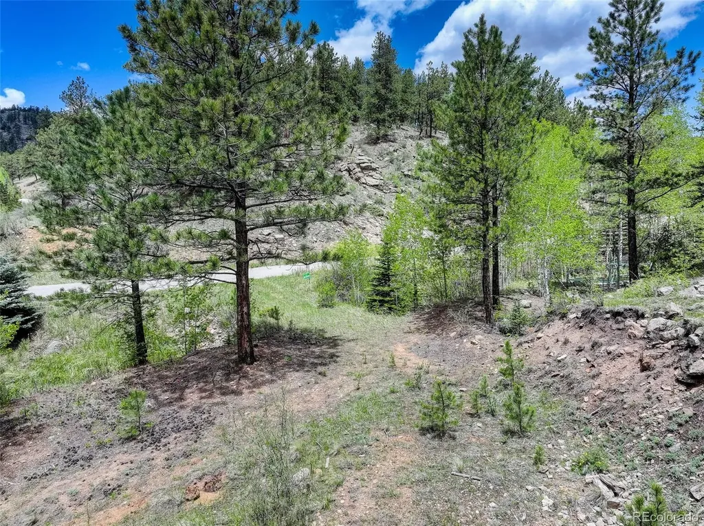 400 Crow Valley Road Bailey CO 80421