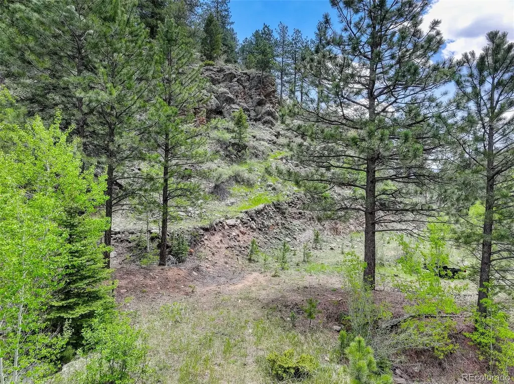 400 Crow Valley Road Bailey CO 80421