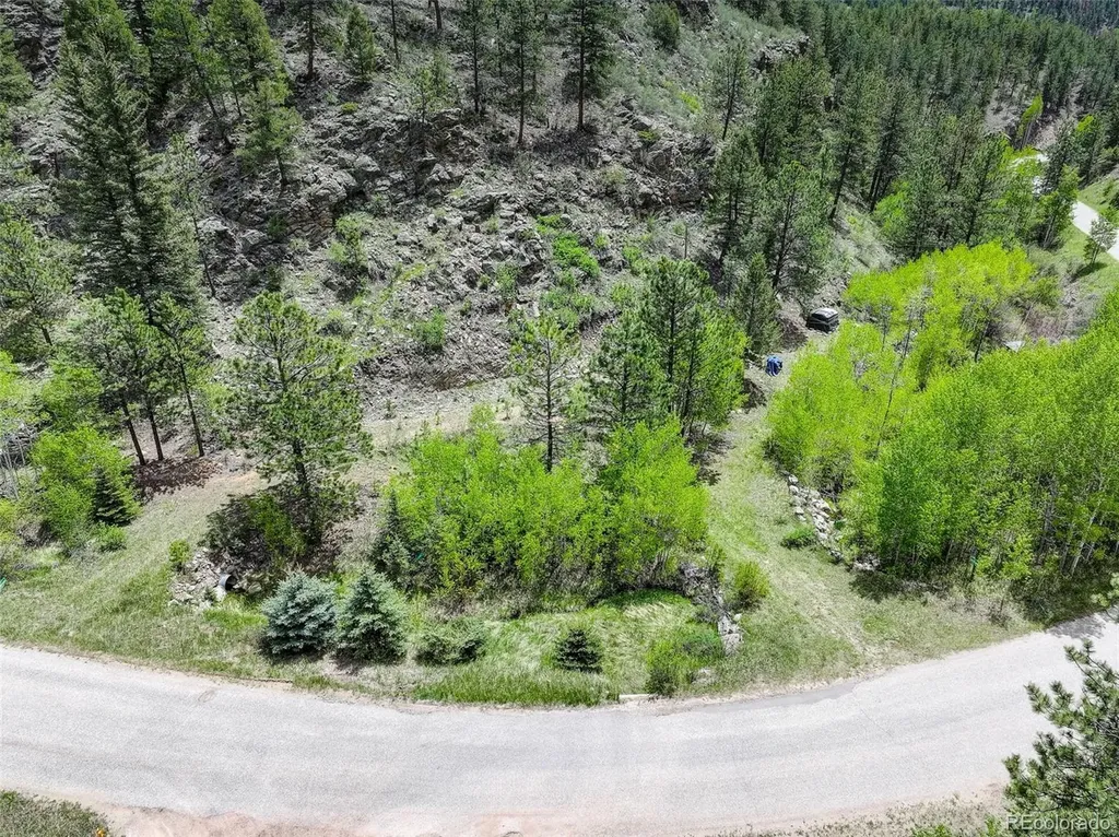 400 Crow Valley Road Bailey CO 80421