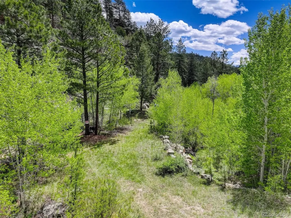 400 Crow Valley Road Bailey CO 80421