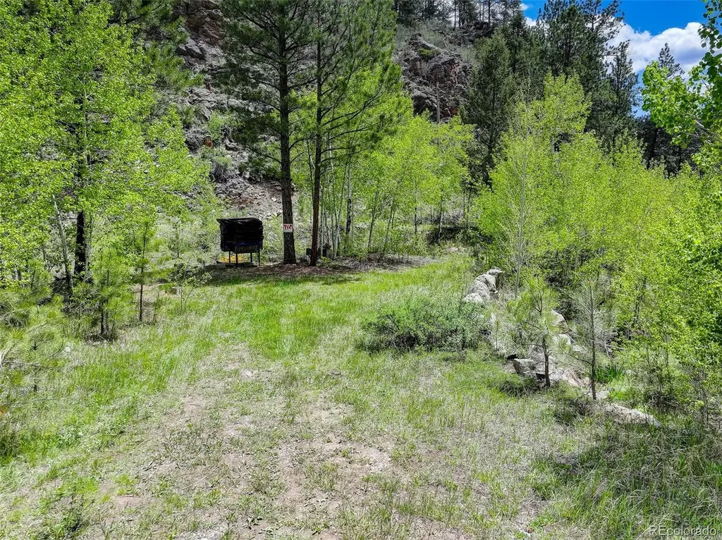400 Crow Valley Road Bailey CO 80421