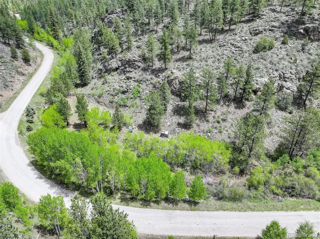 400 Crow Valley Road Bailey CO 80421