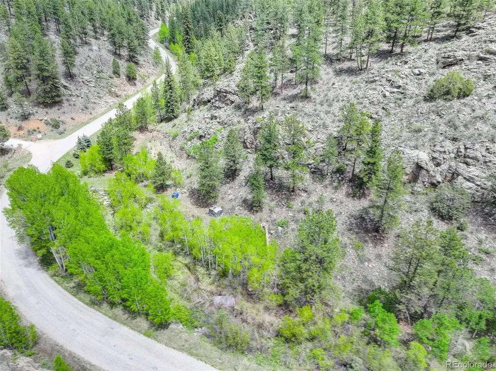 400 Crow Valley Road Bailey CO 80421