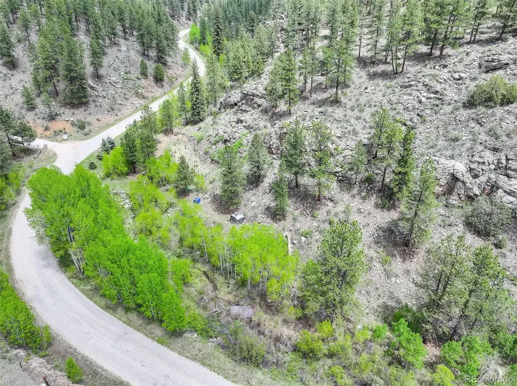 400 Crow Valley Road Bailey CO 80421