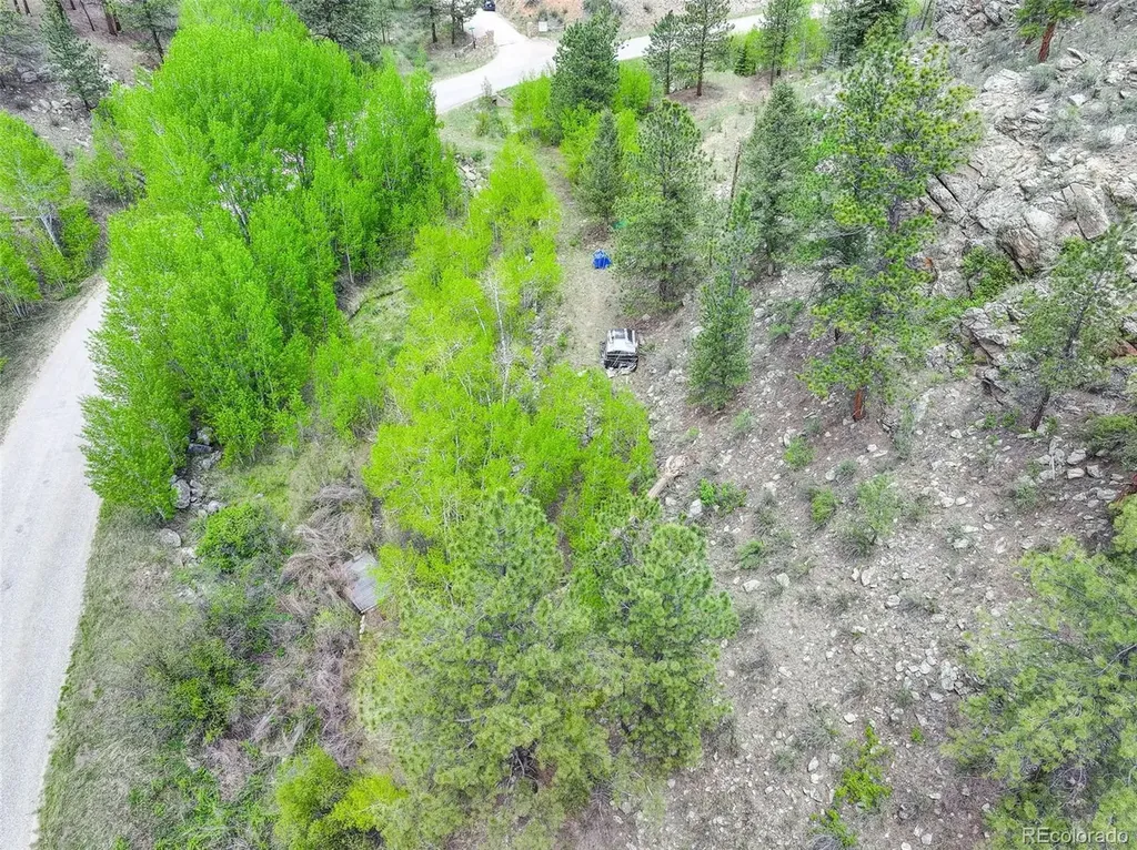 400 Crow Valley Road Bailey CO 80421