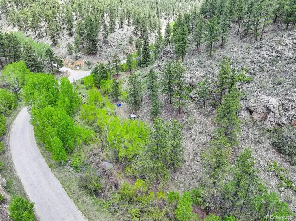 400 Crow Valley Road Bailey CO 80421