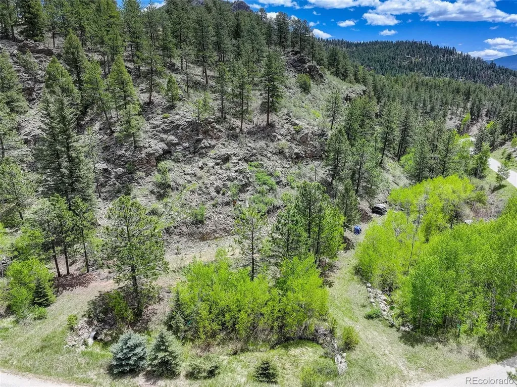 400 Crow Valley Road Bailey CO 80421