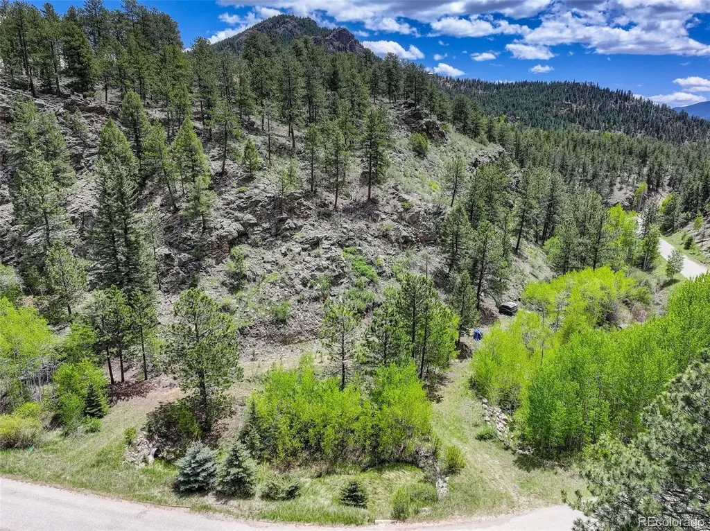 400 Crow Valley Road Bailey CO 80421