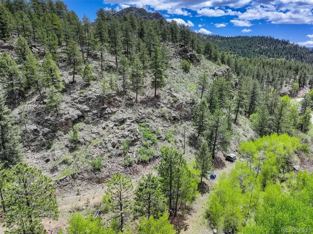 400 Crow Valley Road Bailey CO 80421