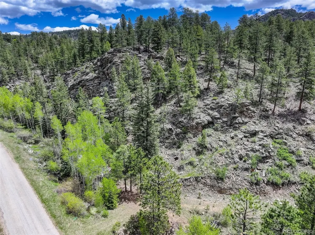 400 Crow Valley Road Bailey CO 80421