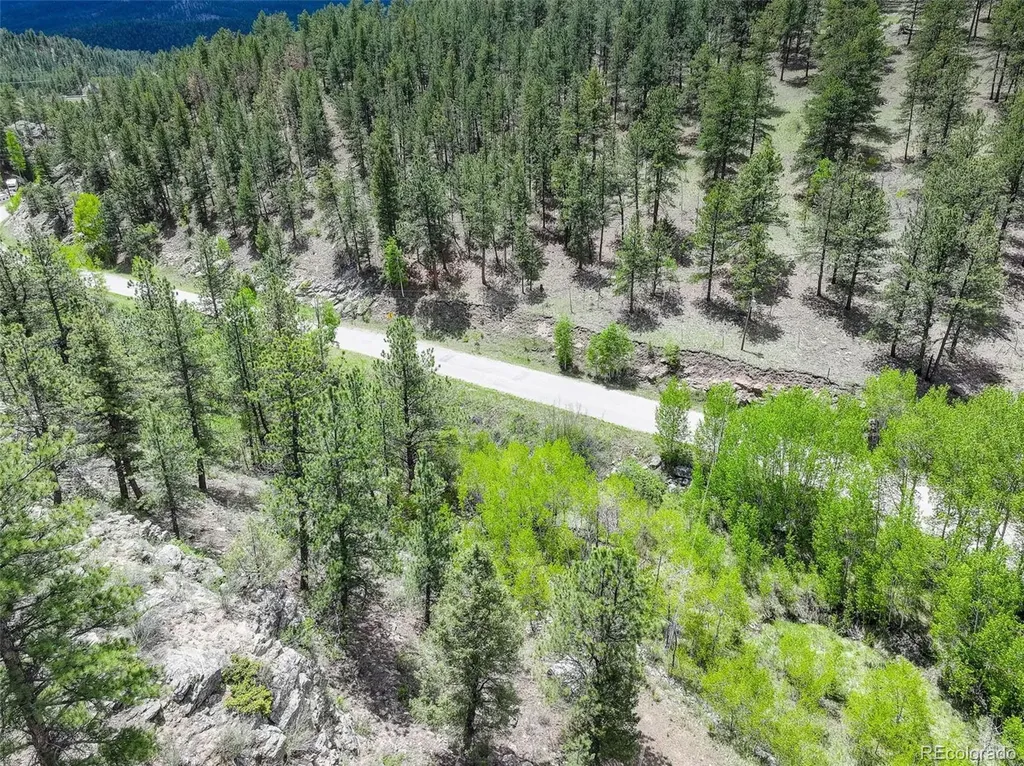 400 Crow Valley Road Bailey CO 80421