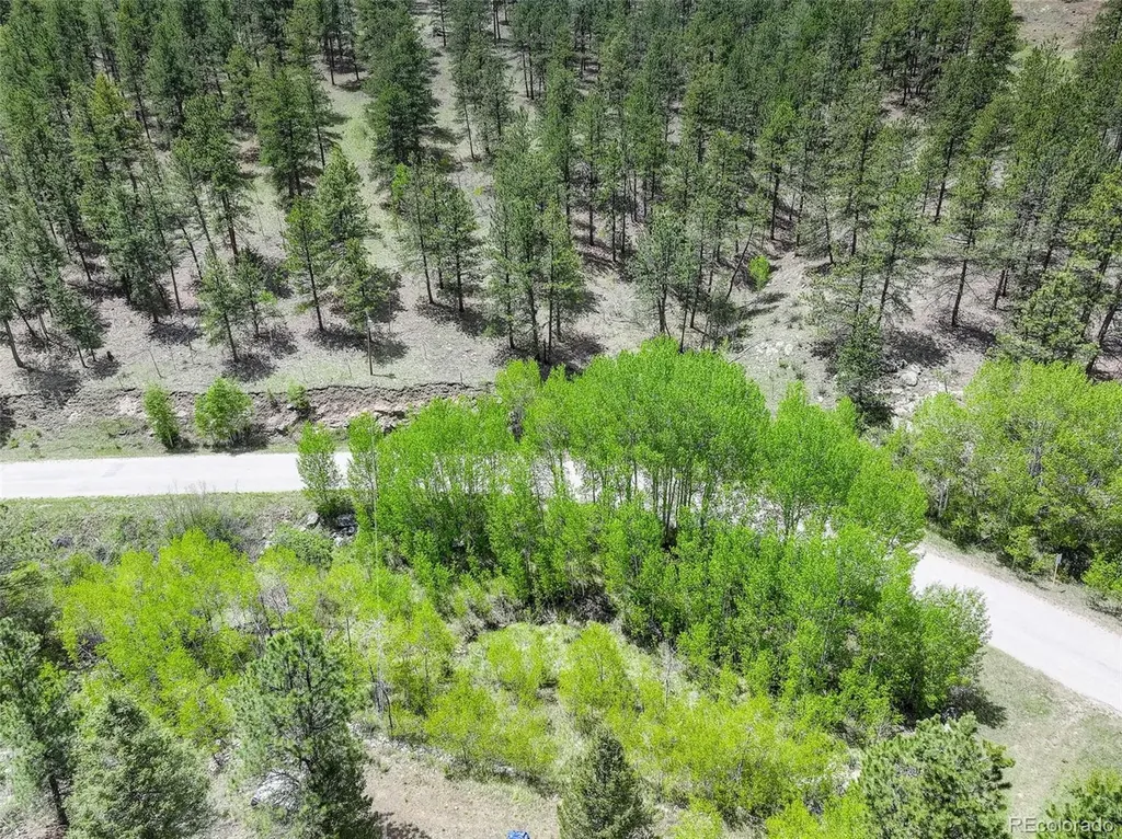 400 Crow Valley Road Bailey CO 80421