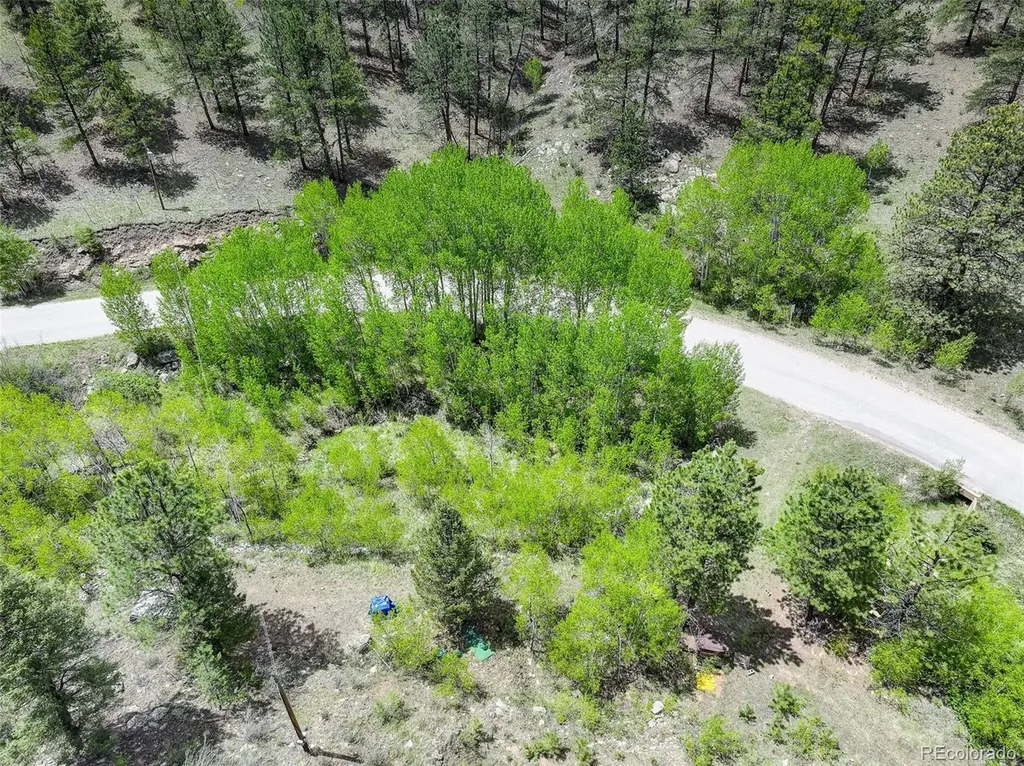 400 Crow Valley Road Bailey CO 80421