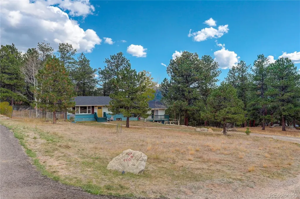 114 Patty Drive Evergreen CO 80439