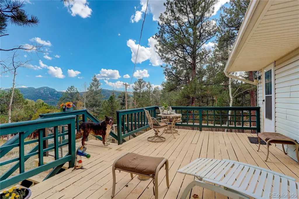 114 Patty Drive Evergreen CO 80439